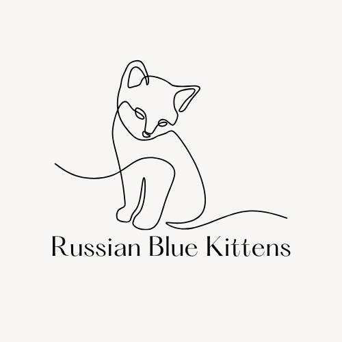Russian Blue